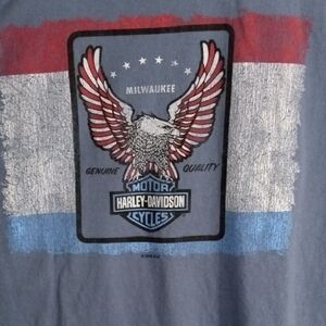 Harley-Davidson Blue/Gray Short Sleeve Tee Men’s Large
